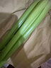 京鮮生山東新鮮大西芹凈重4.5斤榨汁現挖芹菜鮮嫩蔬菜 去半葉源頭直發(fā) 曬單實(shí)拍圖