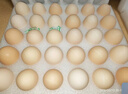 CP正大可生食鮮雞蛋30枚 3.36斤 達到可生食標準  禮盒裝 曬單實(shí)拍圖