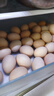 京鮮生【供港品質(zhì)】【每日鮮蛋】無(wú)抗谷物雞蛋30枚3.78斤當日產(chǎn)蛋當日發(fā) 曬單實(shí)拍圖