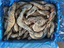 京東超市海外直采厄瓜多爾白蝦鹽凍凈重4斤 60-80只/盒 自營(yíng) 曬單實(shí)拍圖