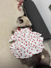 阿莫爾貓咪衣服夏天薄款甜美連衣裙防掉毛布偶金漸層狗狗衣服吊帶蛋糕裙 櫻桃蛋糕裙【透氣柔軟】 XS（建議1-3斤 參考胸圍背長(cháng)） 曬單實(shí)拍圖
