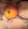 京地達新疆阿克蘇蘋(píng)果冰糖心紅富士蘋(píng)果凈重8.5斤單果180g源頭直發(fā)包郵 曬單實(shí)拍圖