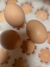 京喜加貴州蛋場(chǎng)直供可生食富硒蛋營(yíng)養健康早餐鮮雞蛋無(wú)激素30枚60枚 30枚貴州可生食富硒鮮雞蛋（1350克） 曬單實(shí)拍圖