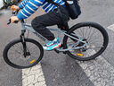 喜德盛（xds）山地自行車(chē)26款旭日310運動(dòng)健身學(xué)生青少年成人騎行變速輕便單車(chē) 26款旭日310巖石灰15.5寸 曬單實(shí)拍圖