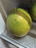 山姆大叔泰國翡翠金柚進(jìn)口紅寶石青皮蜜柚子【多地次日達】年貨水果禮盒 A+級甄選果【脆甜多汁】 2粒裝【較劃算-實(shí)惠嘗鮮】?jì)?.3-3.9斤 曬單實(shí)拍圖