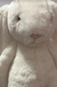 Jellycat害羞乳白色邦尼兔動(dòng)物毛絨玩偶安撫玩偶娃娃送禮生日禮物 害羞乳白色邦尼兔 Medium 曬單實(shí)拍圖