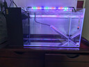 BESSN25年新款側濾魚(yú)缸3.0血脈覺(jué)醒升級干濕分離金晶五線(xiàn)超白玻璃魚(yú)缸 25新款 6mm60*30*30基礎套餐（帶防跳板） 曬單實(shí)拍圖