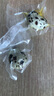 飛龍流油咸鵪鶉蛋30顆350g蛋黃咸香流油咸蛋咸鴨蛋流油沙香獨立包裝 曬單實(shí)拍圖