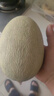 京鮮生 海南哈密瓜西州蜜/西周蜜  2粒5-7斤  生鮮水果禮盒  曬單實(shí)拍圖