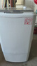 志高【熱銷(xiāo)Top1】脫水機單甩干脫水機干桶甩干機小型迷你家用甩干桶出租房宿舍大容量脫水桶烘干 8.5KG 【不銹鋼桶加厚款】質(zhì)保三年 波輪 曬單實(shí)拍圖