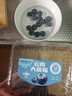 云南高山大藍莓500g 18mm 曬單實(shí)拍圖