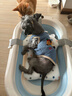 菲爾潔寵物可折疊浴盆狗狗小型犬專(zhuān)用浴缸貓咪浴桶貓砂盆泰迪柯基洗澡盆 天空藍+星星懸浮墊 尺寸71*43.5*18厘米 曬單實(shí)拍圖