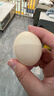 溫氏供港鮮雞蛋40枚/4斤家庭裝 谷物喂養 無(wú)抗生素  牛奶早餐生鮮食材 曬單實(shí)拍圖