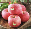 佳農 煙臺紅富士蘋(píng)果 9-12粒裝 單果200g以上 生鮮水果 曬單實(shí)拍圖