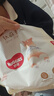 好奇（Huggies）軟萌星人柯基褲紙尿褲M(mǎn)38片(6-11kg)尿不濕【軟糯貼貼】 曬單實(shí)拍圖