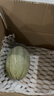 京覓海南哈密瓜凈重4.5-5斤單果1000g+新鮮應季密瓜源頭直發(fā) 曬單實(shí)拍圖