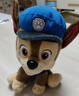 汪汪隊立大功（PAW PATROL）毛絨玩具狗狗陪睡玩偶經(jīng)典款阿奇小號坐姿可愛(ài)公仔男女孩生日禮物 曬單實(shí)拍圖