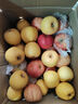 趣嘗鮮山西高原酥甜蘋(píng)果 果徑73-80mm+凈重8斤 1號會(huì )員店 源頭直發(fā) 曬單實(shí)拍圖