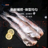 禧美海產(chǎn)阿拉斯加狹鱈魚(yú)凈重4斤 去頭去臟整條 6-10條裝 海鮮水產(chǎn) 曬單實(shí)拍圖