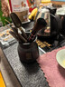 京東京造茶具配件 茶道六君子套裝功夫茶具福順黑檀實(shí)木茶針養壺筆茶夾 曬單實(shí)拍圖
