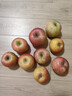 阿克蘇蘋(píng)果新疆阿克蘇冰糖心蘋(píng)果 當季應季新鮮時(shí)令水果整箱紅富士丑蘋(píng)果 5斤【精品中大果】?單果150g+ 凈重4.5斤 曬單實(shí)拍圖