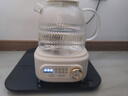 九陽(yáng)（Joyoung）凈萃全玻璃0膠水養生壺  辦公室多功能煮茶器花茶壺 燒水壺恒溫電熱水壺 24h預約保溫 1L WY107 曬單實(shí)拍圖
