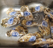貝司令鮮活乳山生態(tài)生蠔4XL 凈重4斤 8-11只 生鮮源頭直發(fā)露營(yíng)聚會(huì ) 曬單實(shí)拍圖