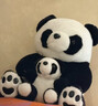 熊貓熊大熊貓毛絨玩具女孩熊貓玩偶娃娃公仔花花抱抱熊布娃娃女生生日禮物女送女朋友同學(xué)陪睡覺(jué)抱枕仿真布偶小號創(chuàng  )意擺件50cm 曬單實(shí)拍圖