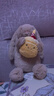 Jellycat害羞生日米色邦尼兔動(dòng)物毛絨玩偶安撫娃娃送禮生日禮物 害羞生日米色邦尼兔 Medium 曬單實(shí)拍圖