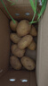 京鮮生山東新鮮小土豆凈重3斤單果40-100g 黃心馬鈴薯蔬菜源頭直發(fā) 曬單實(shí)拍圖