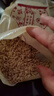 吉林旱黃瓜子生熟黃瓜籽正宗東北老旱黃瓜子純鈣骨特級正品真貨 東北旱黃瓜子500g 曬單實(shí)拍圖