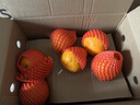 京鮮生 四川春見(jiàn)耙耙柑 凈重8斤 單果270g起 生鮮水果柑橘桔子禮盒 曬單實(shí)拍圖