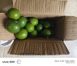 廣西塔希提無(wú)籽青檸檬薄皮新鮮現摘青檸香水檸檬【百補優(yōu)選】 【20個(gè)】塔希提青檸檬 單果凈重50g 曬單實(shí)拍圖