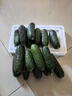 京鮮生 山東瑪莎水果小黃瓜 凈重3斤單果50g+新鮮蔬菜減脂健身 源頭直發(fā) 曬單實(shí)拍圖