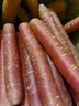 新鮮四川紅皮水果胡蘿卜 帶箱9斤 曬單實(shí)拍圖