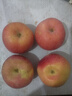 甜醉了 煙臺蘋(píng)果棲霞紅富士新鮮水果生鮮山東特產(chǎn)脆甜整箱平果禮盒禮品 紅富士?jì)糁?.5斤75-80mm 曬單實(shí)拍圖