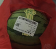 藤上熟吊秧小西瓜1粒1.5kg 曬單實(shí)拍圖