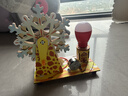 Toylezhi手搖發(fā)電機科學(xué)小實(shí)驗兒童益智玩具DIY制作男女孩生日節日禮物 曬單實(shí)拍圖