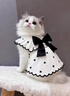 阿莫爾寵物貓咪衣服春夏可愛(ài)吊帶裙狗狗蝴蝶結棉布連衣裙小型犬泰迪博美 黑色愛(ài)心裙【可牽引】 M 曬單實(shí)拍圖