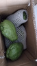 云南佛手瓜新鮮現摘佛手瓜農家佛手瓜有刺洋瓜蔬菜洋絲瓜福壽瓜 新鮮佛手瓜 3斤 曬單實(shí)拍圖