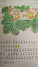 金波四季美文：樹(shù)和喜鵲等 兒童文學(xué)啟蒙讀本（注音美繪版 套裝共4冊）兒童文學(xué)經(jīng)典讀物 課外閱讀 課外書(shū) 一升二 小升初銜接 中國兒童文學(xué)大師的經(jīng)典作品 低年級孩子的文學(xué)啟蒙讀本 文學(xué)經(jīng)典讀本 曬單實(shí)拍圖