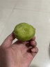 甜萌果蔬徐香獼猴桃【現摘/多地極速達】陜西水果綠心整箱批發(fā)當季翡翠果 15枚【尊享果】強烈推 60-70g左右* 曬單實(shí)拍圖