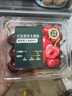 枝頭熟大連美早大櫻桃250g 單果10g＋ 曬單實(shí)拍圖