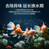 貝意品硝化細菌魚(yú)缸用消化細菌凈水劑凈化水質(zhì)清澈劑水族硝化菌600ml 曬單實(shí)拍圖