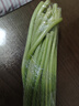 生鮮蔬菜新鮮農家蒜薹 1斤（品嘗裝） 曬單實(shí)拍圖