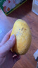 京鮮生海南小臺芒 凈重4.5斤 單果60g起  生鮮水果 源頭直發(fā) 曬單實(shí)拍圖