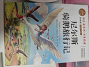 魯濱遜漂流記六年級下冊快樂(lè )讀書(shū)吧必讀的課外書(shū) 湯姆索亞歷險記尼爾斯騎鵝旅行記愛(ài)麗絲漫游奇境記六年級下冊推薦課外書(shū)世界名著(zhù) 【全4冊+考點(diǎn)手冊】六年級下冊必讀全套正版 曬單實(shí)拍圖