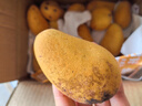 京鮮生海南小臺農芒果 凈重4.5斤 單果70g+ 新鮮水果 源頭直發(fā) 曬單實(shí)拍圖