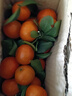 整箱正宗廣西砂糖橘新鮮當季水果沙糖桔橘子薄皮少籽多汁砂糖桔 砂糖橘帶箱2斤 曬單實(shí)拍圖