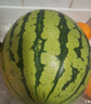 京鮮生 麒麟無(wú)籽西瓜 1粒裝 凈重5-7斤 生鮮水果 曬單實(shí)拍圖